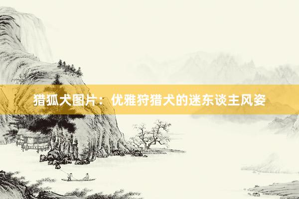 猎狐犬图片：优雅狩猎犬的迷东谈主风姿